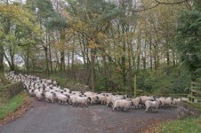 _7815628.jpg _7815628.jpg