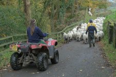 _7821166 - Copy.jpg _7821166 - Copy.jpg