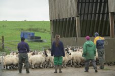 _7821173 - Copy.jpg _7821173 - Copy.jpg