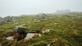 002 Hollow Tor 02-7323 PS Adj.JPG