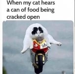 cracked-open.jpg cracked-open.jpg