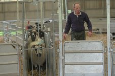 dutt (26 of 88).jpg dutt (26 of 88).jpg