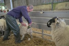 dutt (53 of 88).jpg dutt (53 of 88).jpg