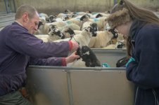 dutt (75 of 88).jpg dutt (75 of 88).jpg