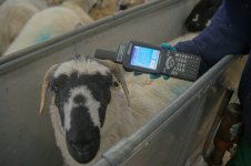 dutt (74 of 88).jpg dutt (74 of 88).jpg