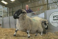 dutt (42 of 88).jpg dutt (42 of 88).jpg