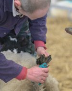 _7821222.jpg _7821222.jpg