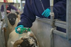 dutt (65 of 88).jpg dutt (65 of 88).jpg