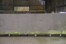 dutt (45 of 88).jpg dutt (45 of 88).jpg