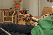 _DSC0734.JPG _DSC0734.JPG