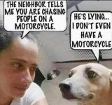 9f883c68bb7075e455b59e6cb07254c9cbade854.jpeg 9f883c68bb7075e455b59e6cb07254c9cbade854.jpeg