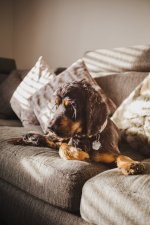 1000022852.jpg 1000022852.jpg