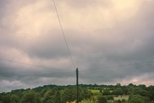 002 Small Bird on a Large Pole Provia 100F 01-000026 PS Adj.JPG 002 Small Bird on a Large Pole Provia 100F 01-000026 PS Adj.JPG