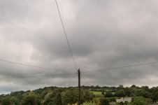 001 Small Bird on a Large Pole M9 01-1004647 PS Adj.JPG