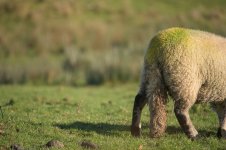 _7821414.jpg _7821414.jpg