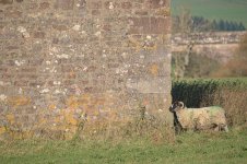 _7821432.jpg _7821432.jpg