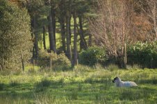 _7821405.jpg _7821405.jpg