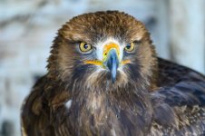 DSC_5914.jpg DSC_5914.jpg