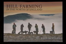 _7513503.jpg _7513503.jpg