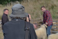 _7815659.jpg _7815659.jpg