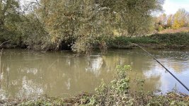 01 17 11 2023.jpg 01 17 11 2023.jpg