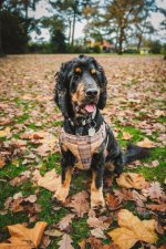 IMG_0757.jpeg IMG_0757.jpeg