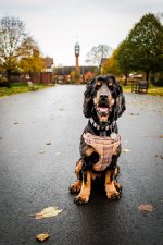 IMG_0758.jpeg IMG_0758.jpeg