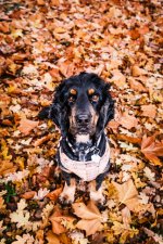 IMG_0760.jpeg IMG_0760.jpeg