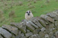 _7815799.jpg _7815799.jpg