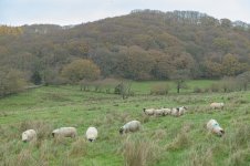 _7815793.jpg _7815793.jpg