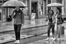 Dodging the Rain      01.jpg