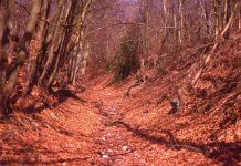 image021.jpg image021.jpg