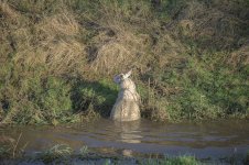 _7815832.jpg _7815832.jpg