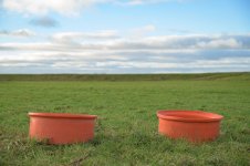 _7815830.jpg _7815830.jpg