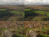 soft_combined.jpg soft_combined.jpg