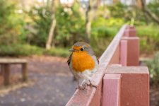 1-DSC03744-C.jpg 1-DSC03744-C.jpg