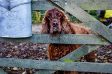 DSCF4301 (2).jpg DSCF4301 (2).jpg