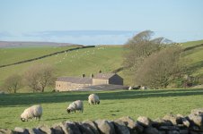 _7821505.jpg _7821505.jpg