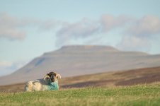 _7821528.jpg _7821528.jpg