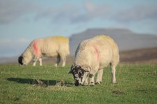 _7821524.jpg _7821524.jpg