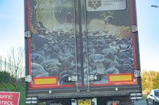 _7815871.jpg _7815871.jpg