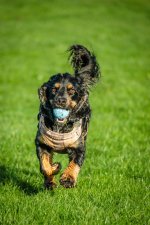 DSCF6351.jpeg DSCF6351.jpeg