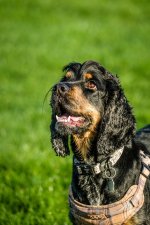 DSCF6330.jpeg DSCF6330.jpeg