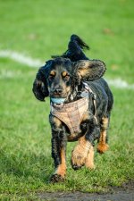 DSCF6166.jpeg DSCF6166.jpeg