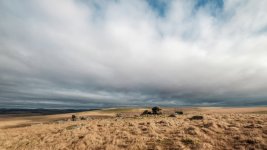 012 Fox Tor 04-2238 PS Adj.JPG