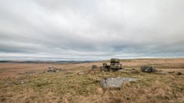 015 Fox Tor 07-2251 PS Adj.JPG