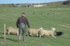 _7821567.jpg _7821567.jpg