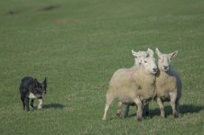 _7821633.jpg _7821633.jpg