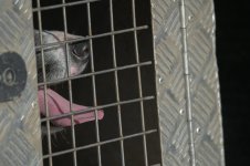 _7821670.jpg _7821670.jpg