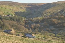 _7821707.jpg _7821707.jpg